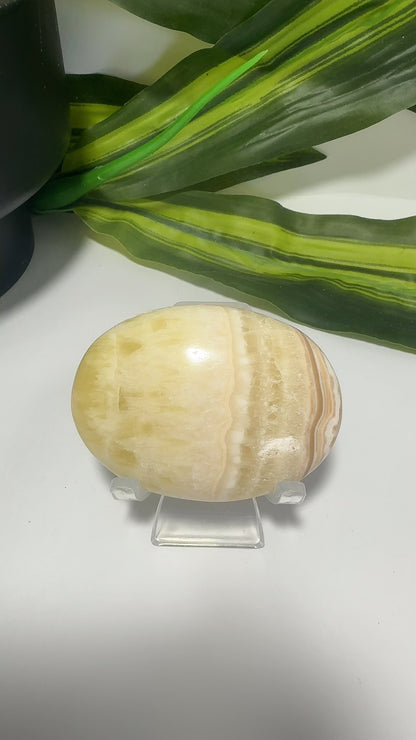 Pineapple Calcite Palm 100g