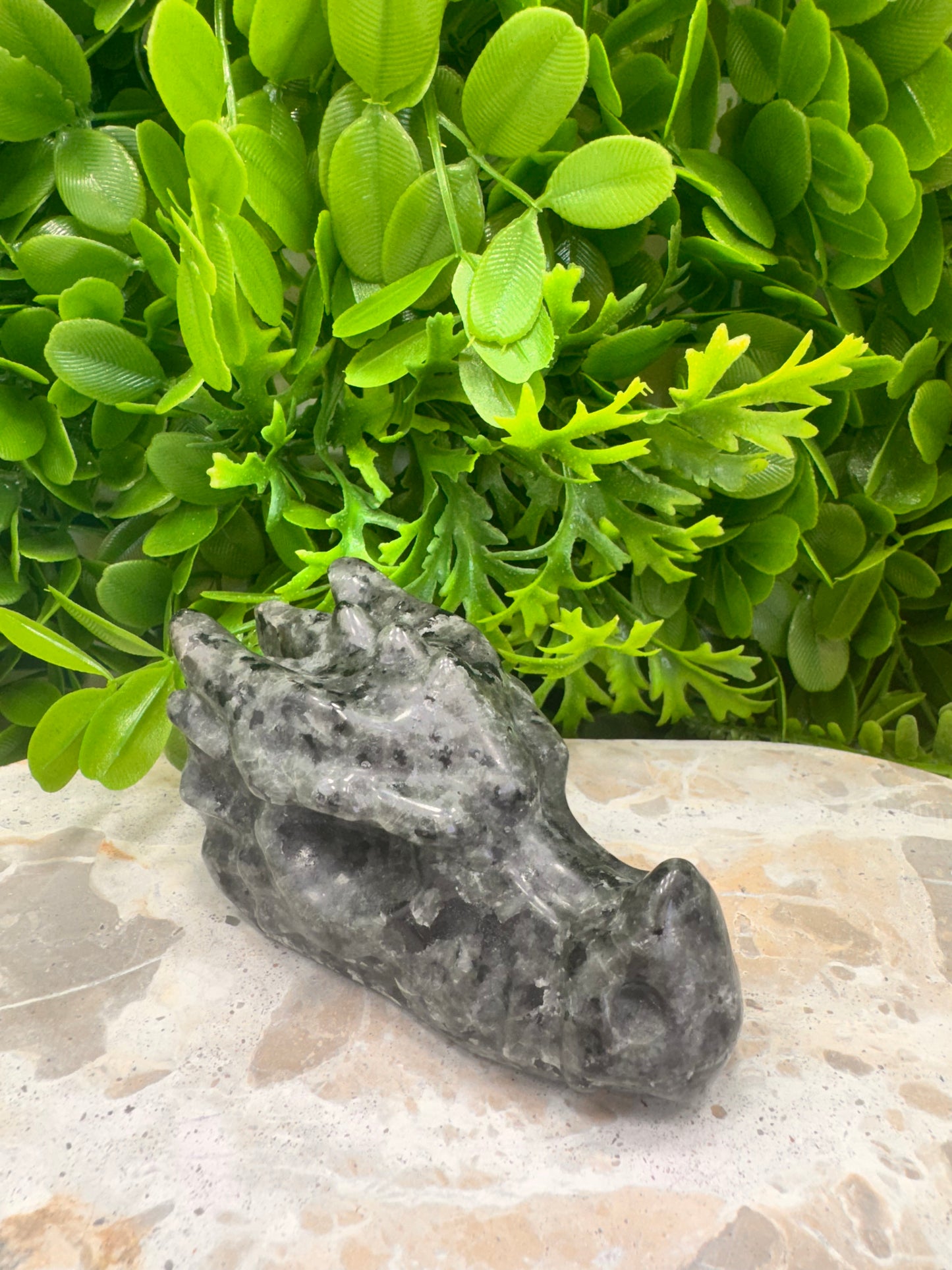 Larvikite Dragon Skull 308g