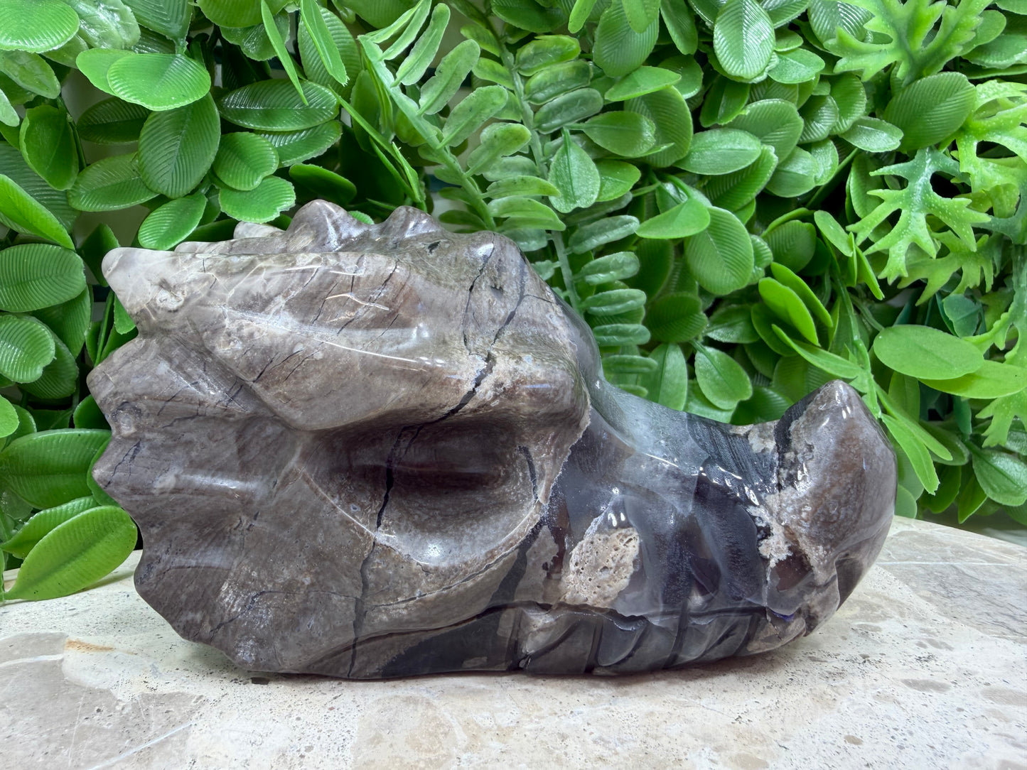 Volcanic Agate Dragon Skull 610g