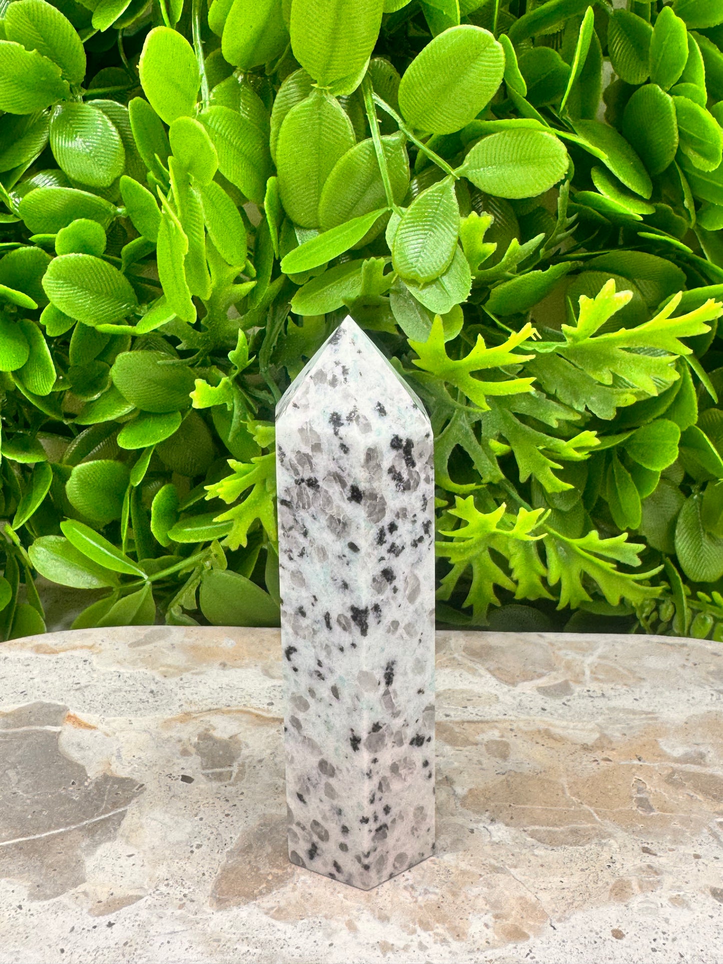 Kiwi Jasper Point 130g