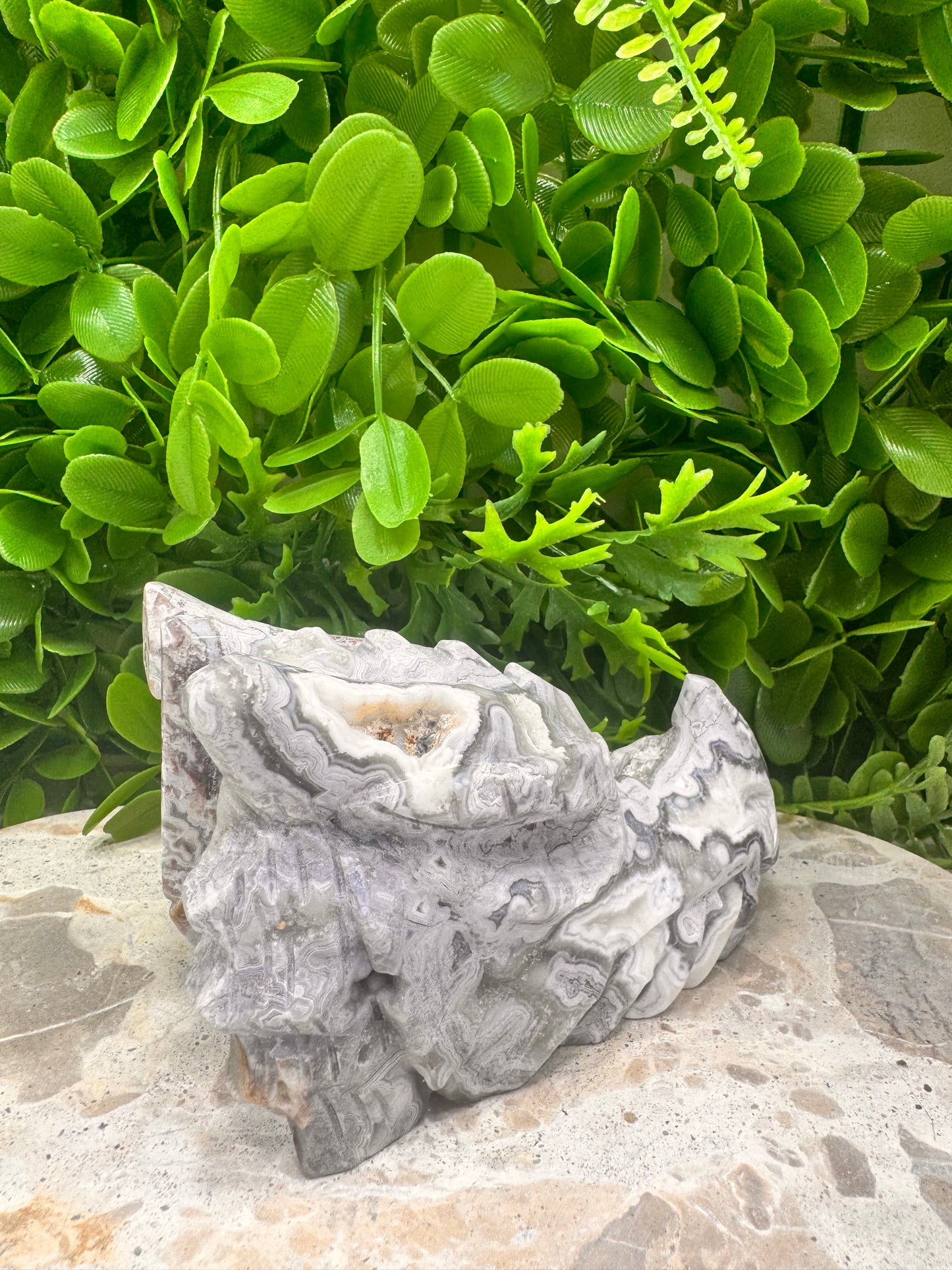 Mexican Agate Druzy Dragon Skull 620g