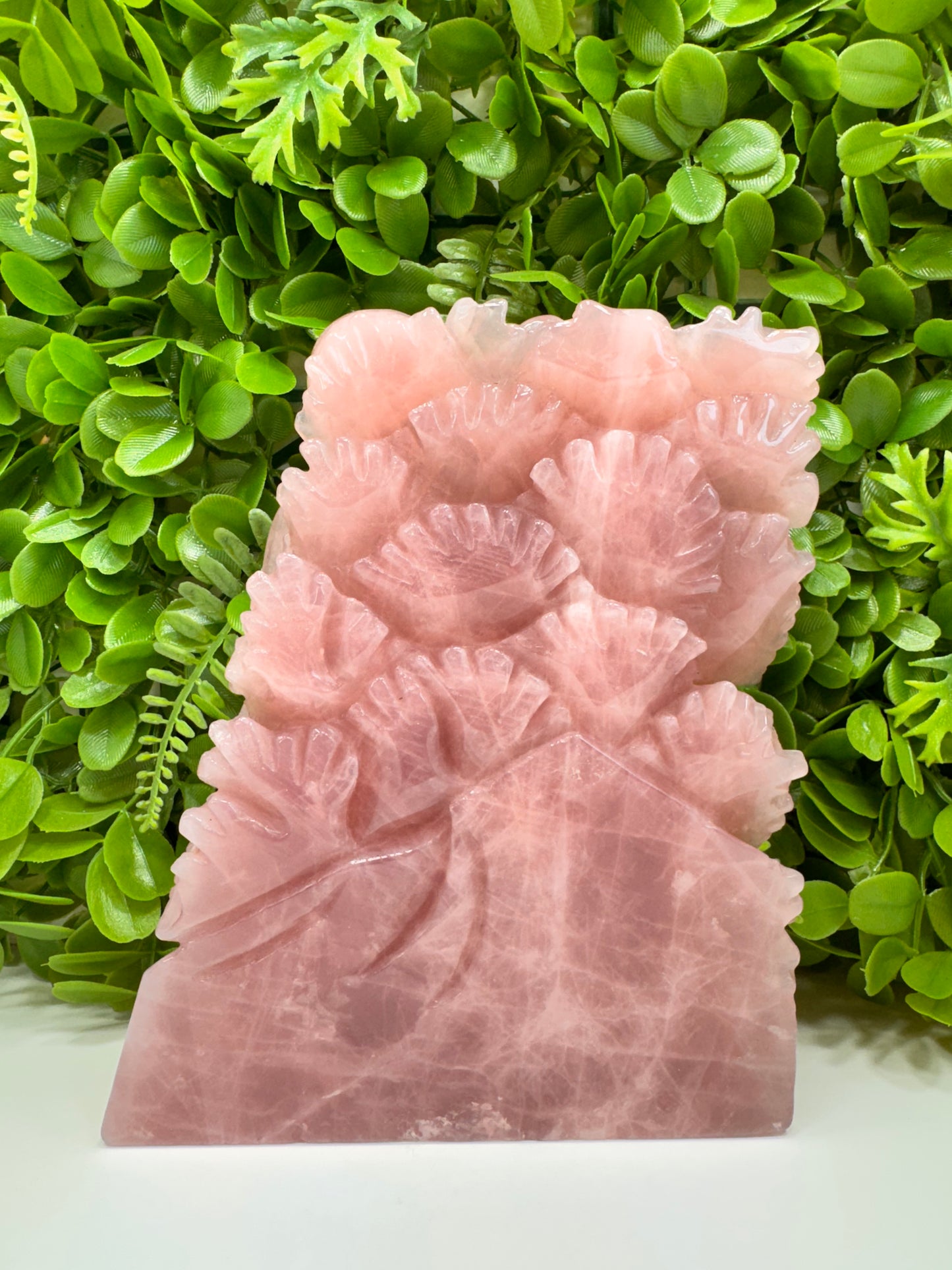 Rose Quartz Sea Life 1982g
