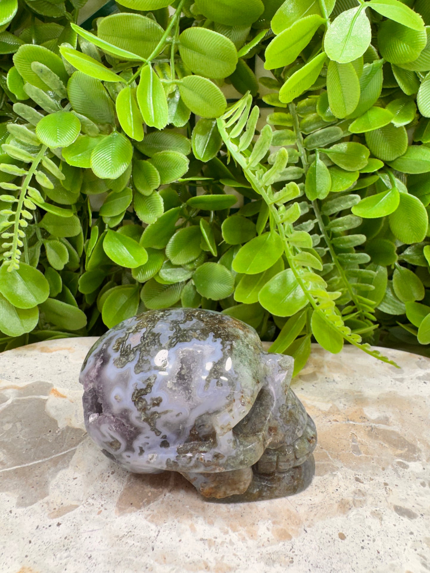 Moss Agate Druzy Skull 268g