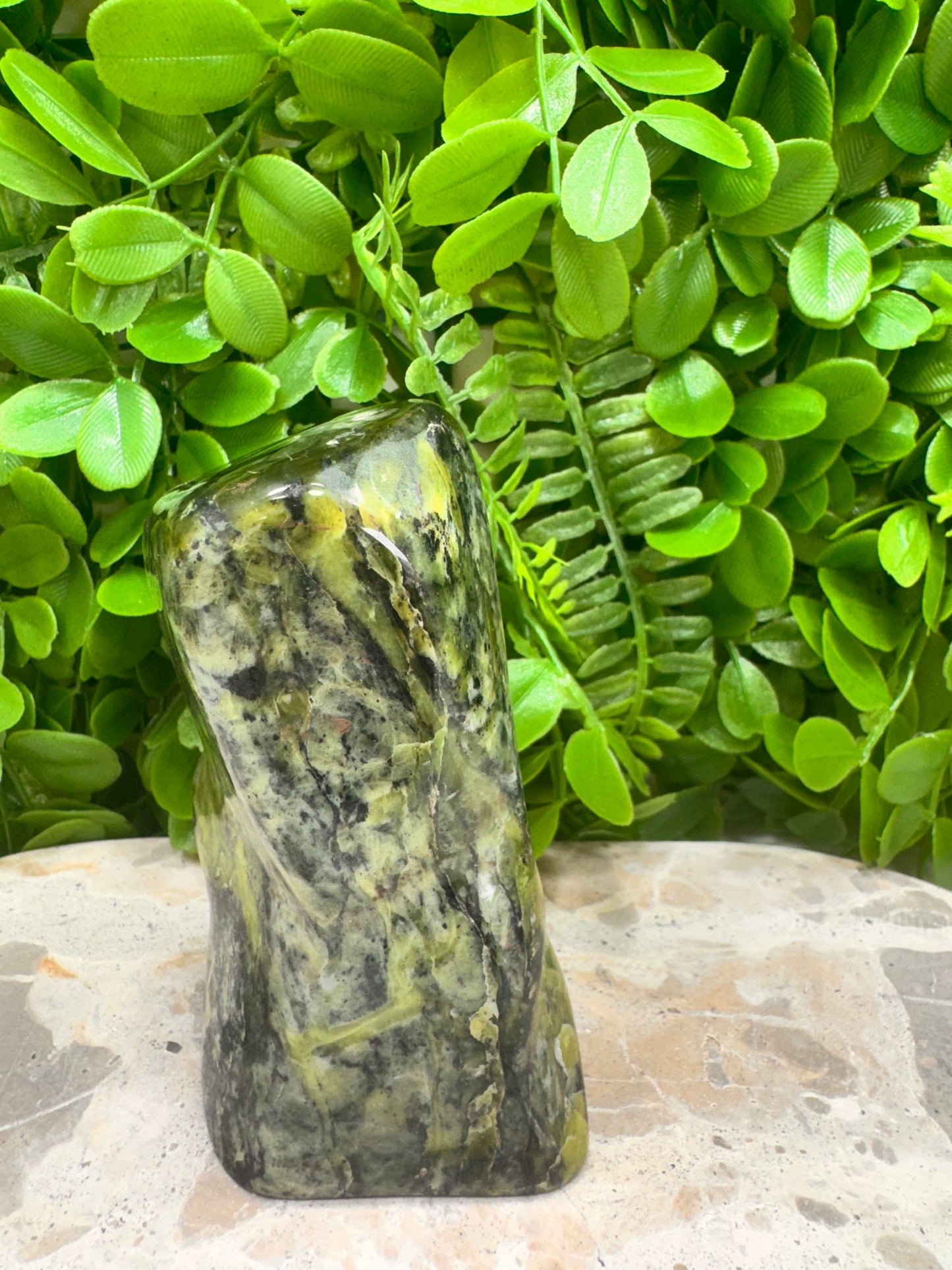 Nephrite Jade Freeform 710g