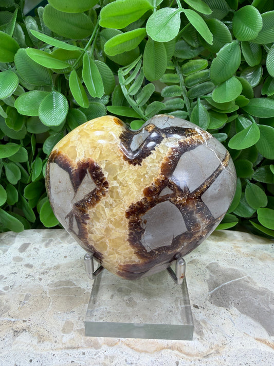 Septarian Dragon Stone Heart 330g