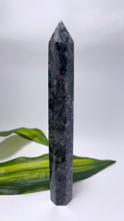 Larvikite Tower 320g