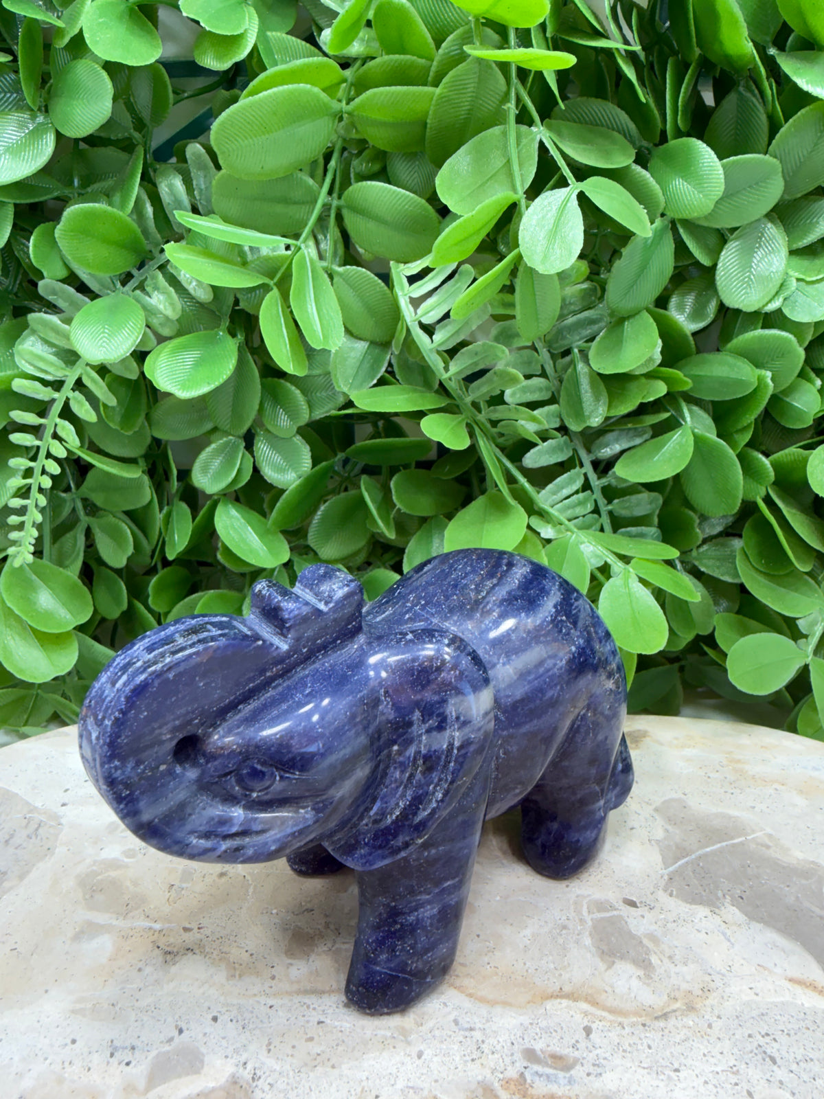 Sodalite Elephant 408g | Intuition • Communication • Clarity