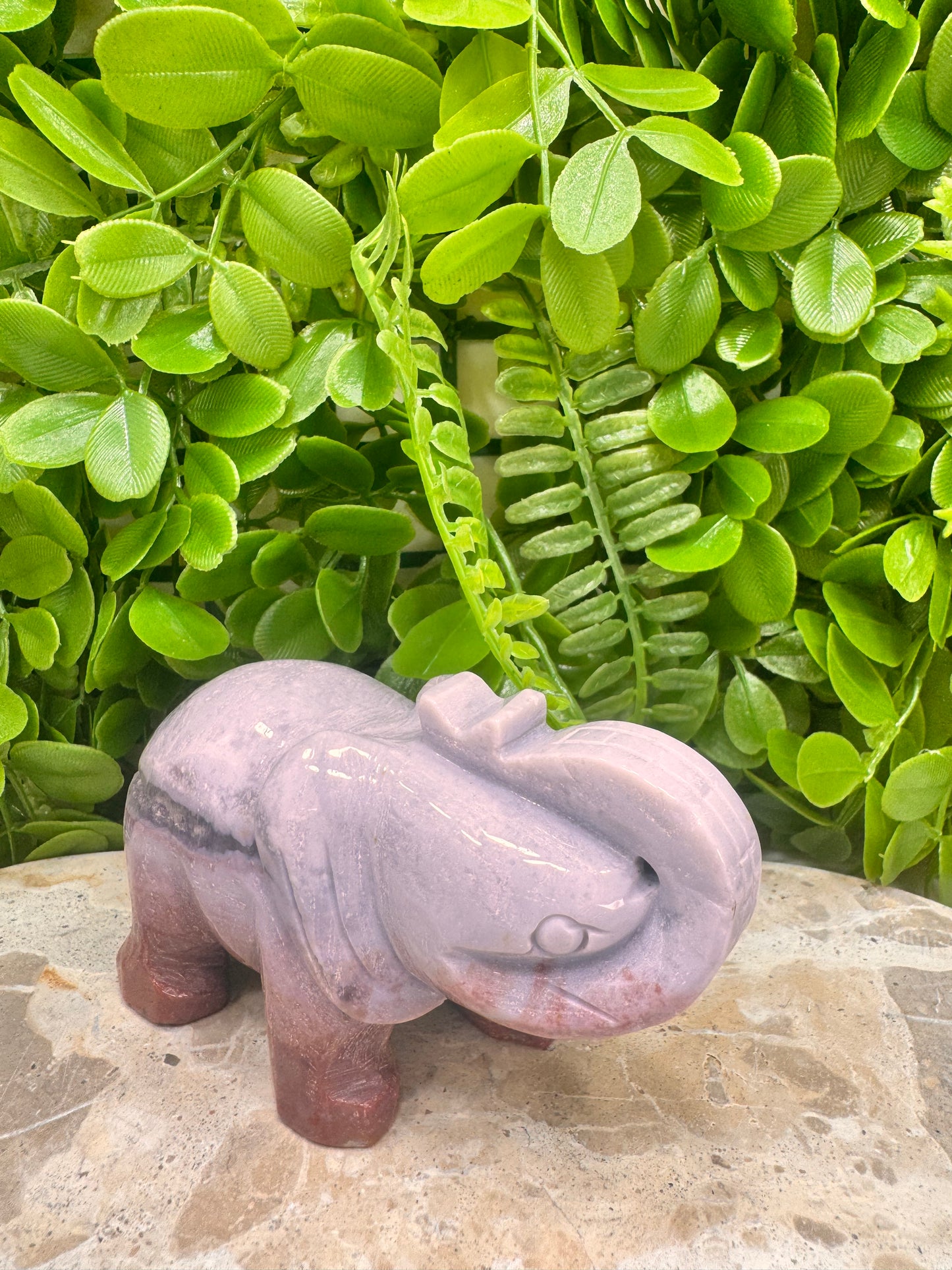 Ocean Jasper Elephant 442g