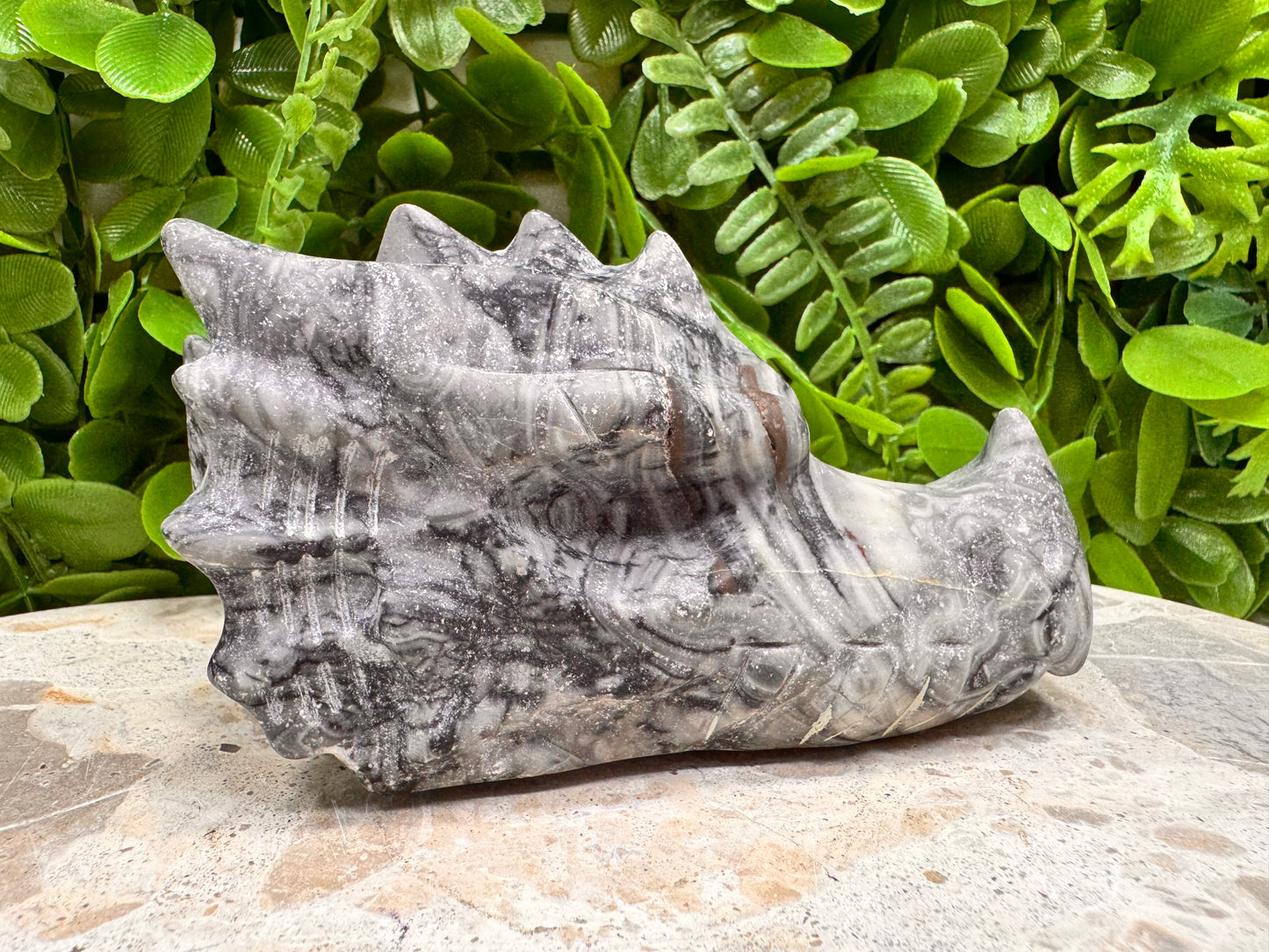 Fossil Dragons Skull 512g