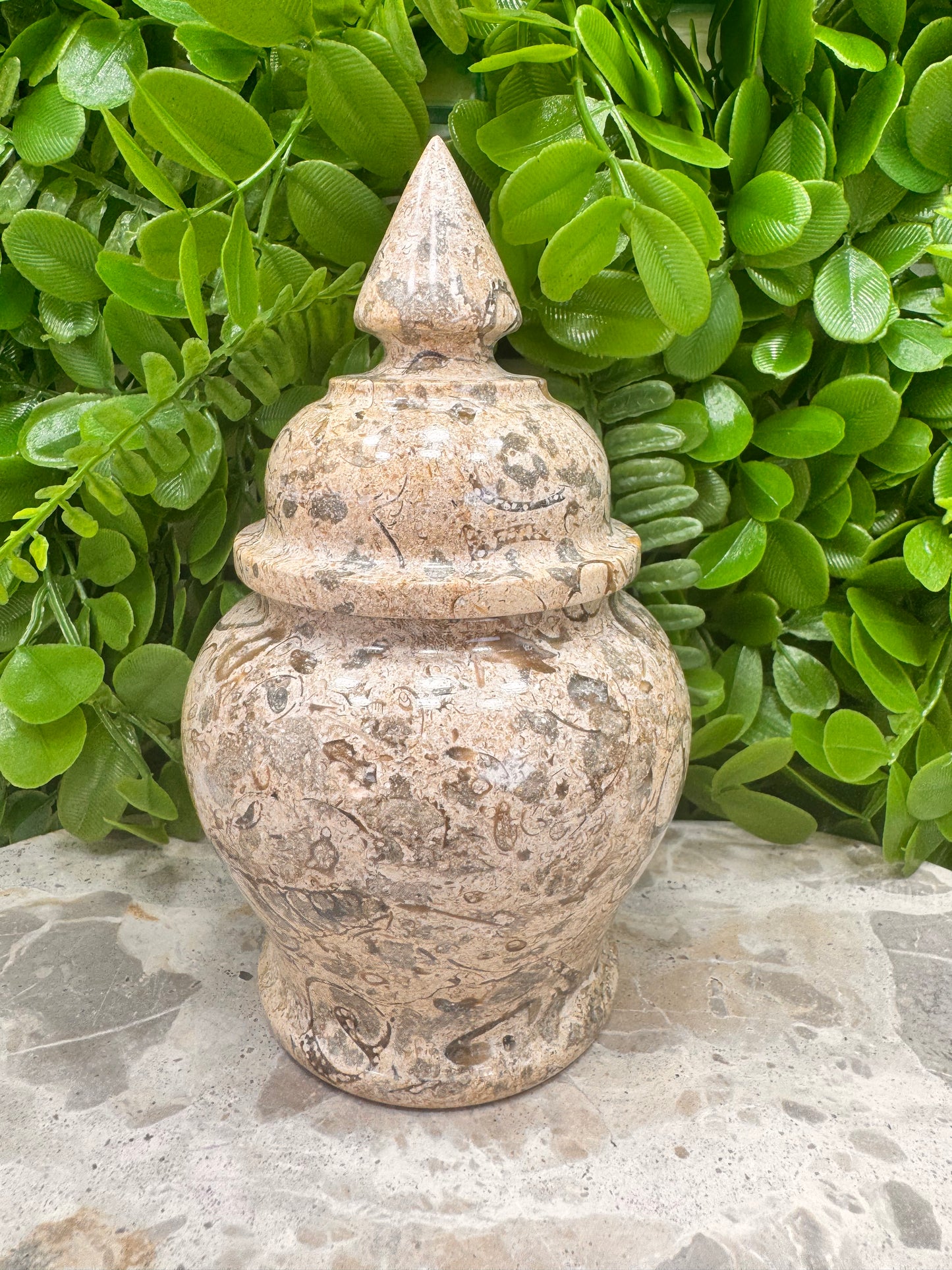 Shell Jasper Jar with Lid 598g