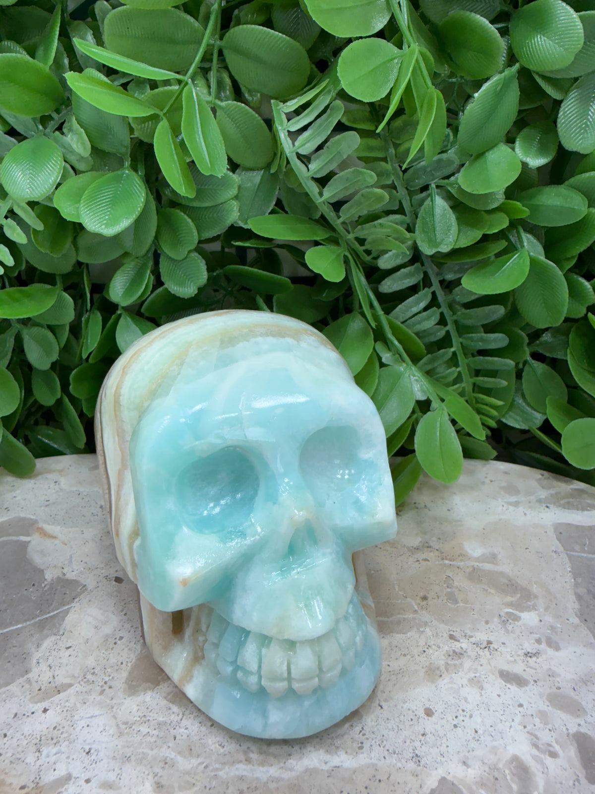 Caribbean Calcite Skull | Calm • Intuition • Emotional Healing