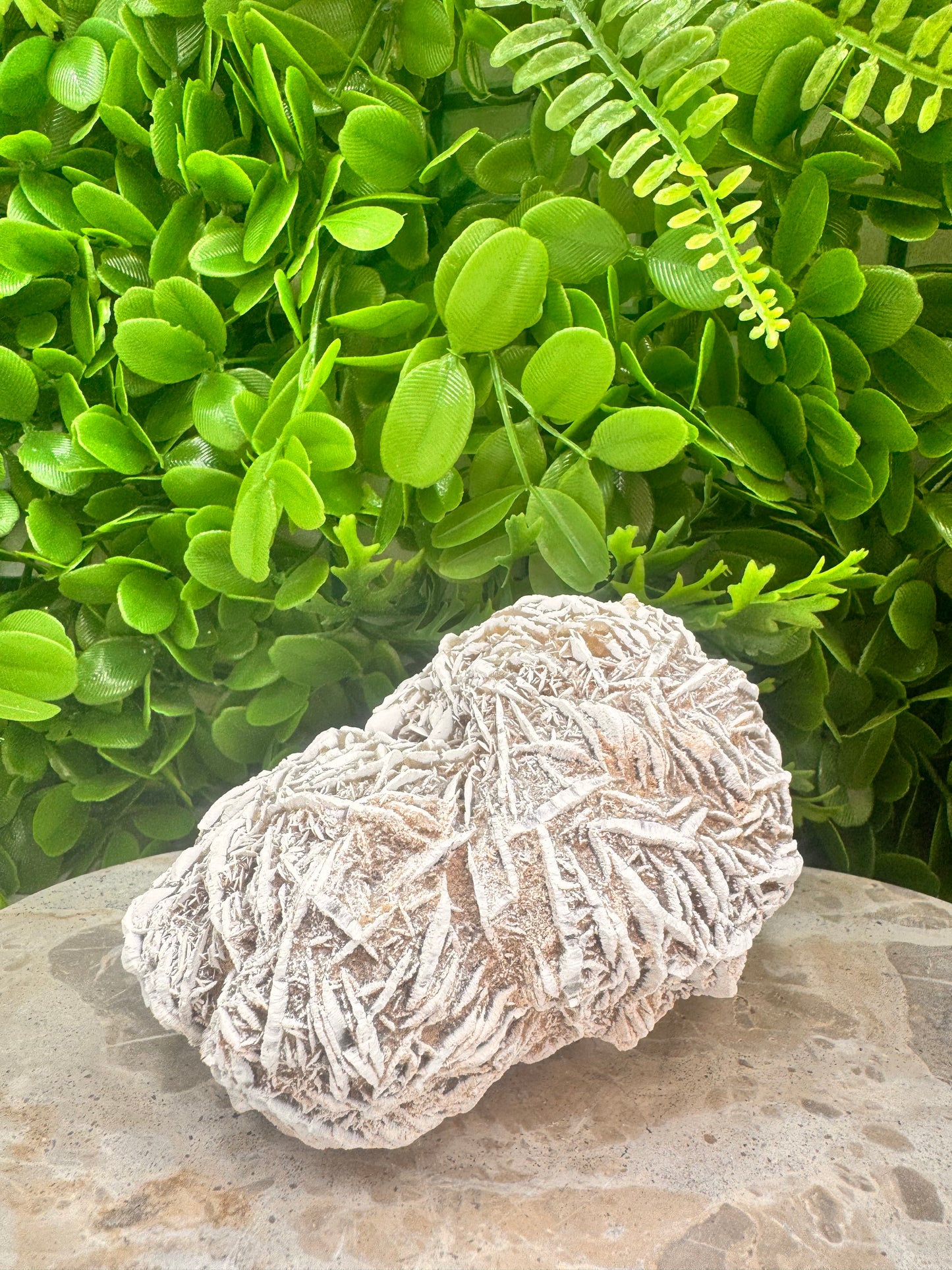 Desert Rose Selenite Cluster  1004g
