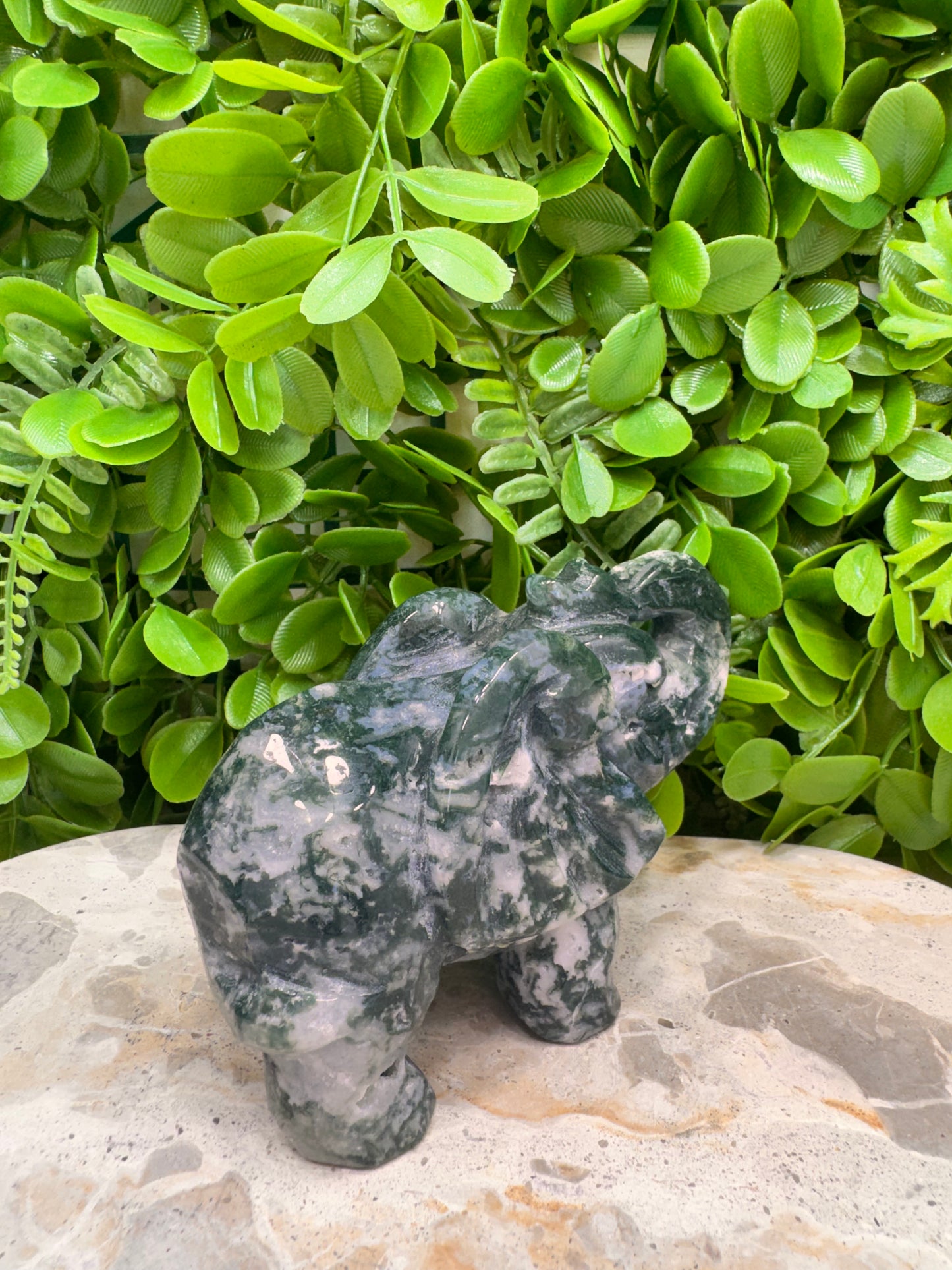 Moss Agate Elephant 532g