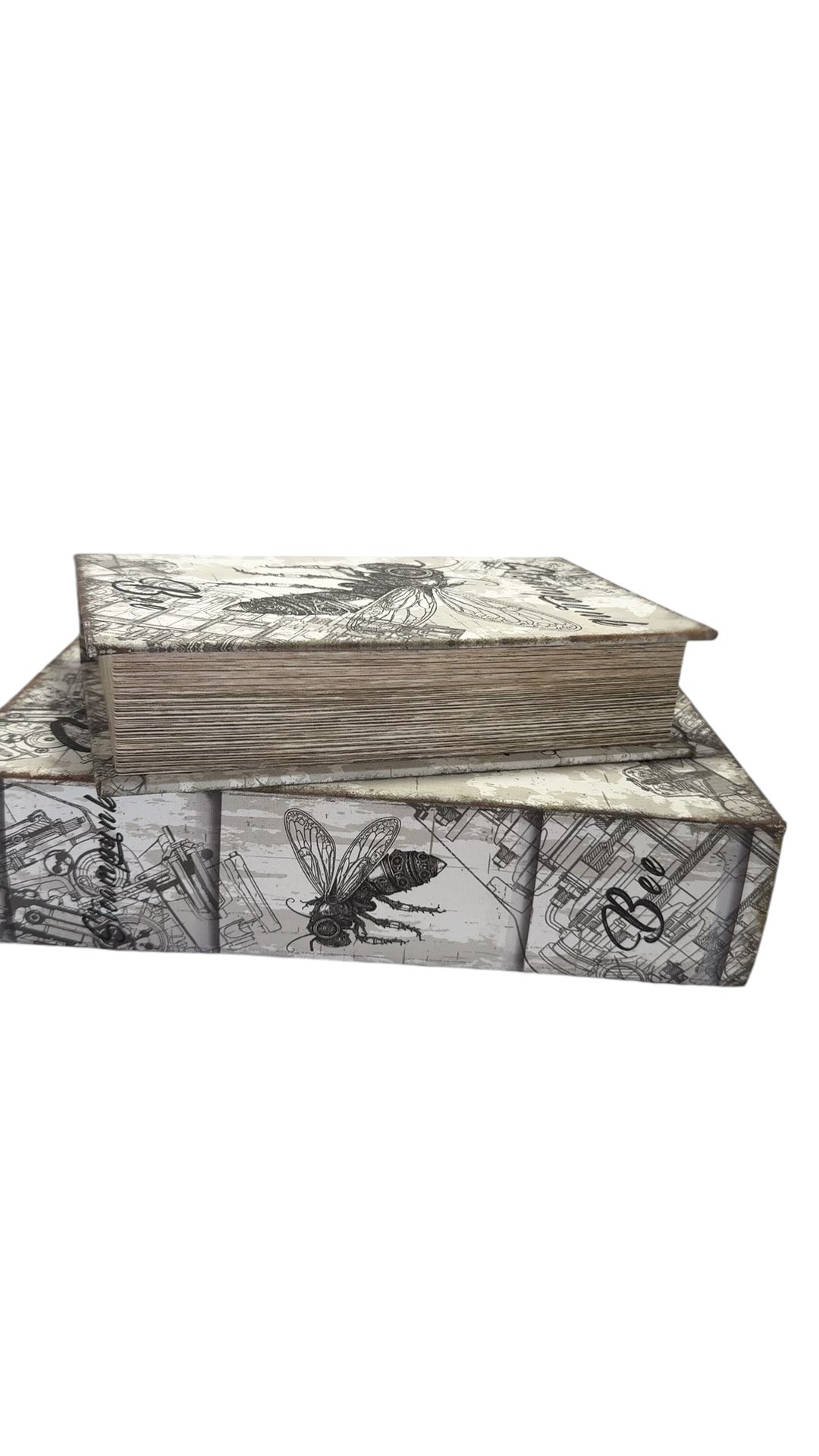 Set of 2 Book Boxes with Fly Design