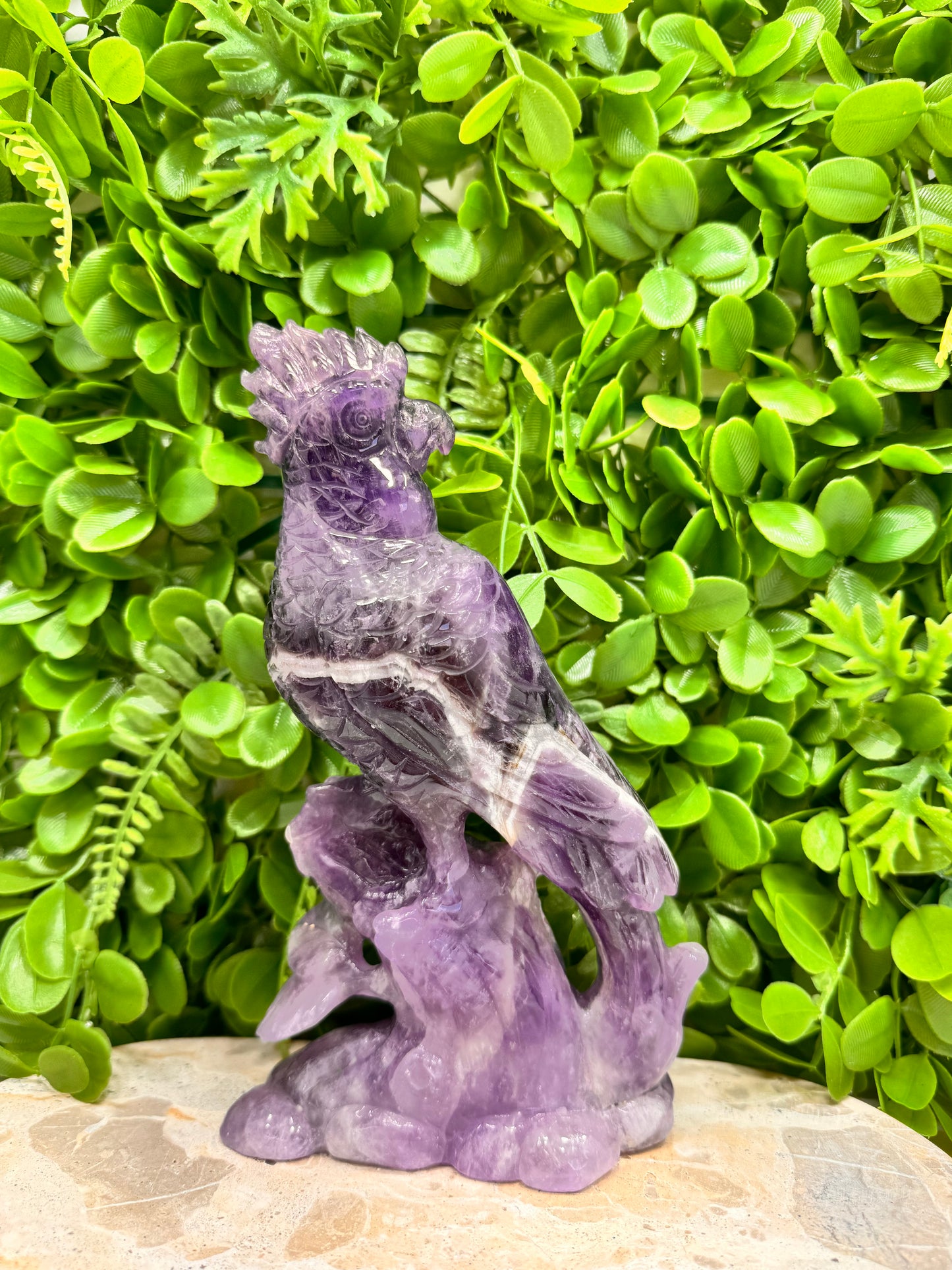Chevron Amethyst Cockatoo 952g