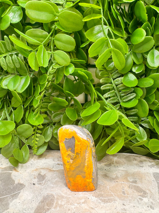 Bumble Bee Jasper Freeform 122g