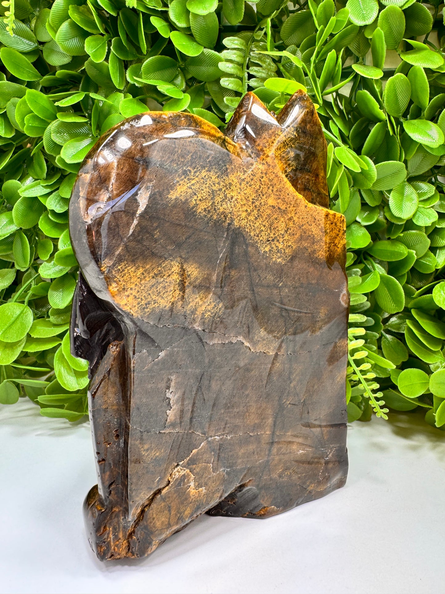 Tigers Eye Dragon On Castle 2014g