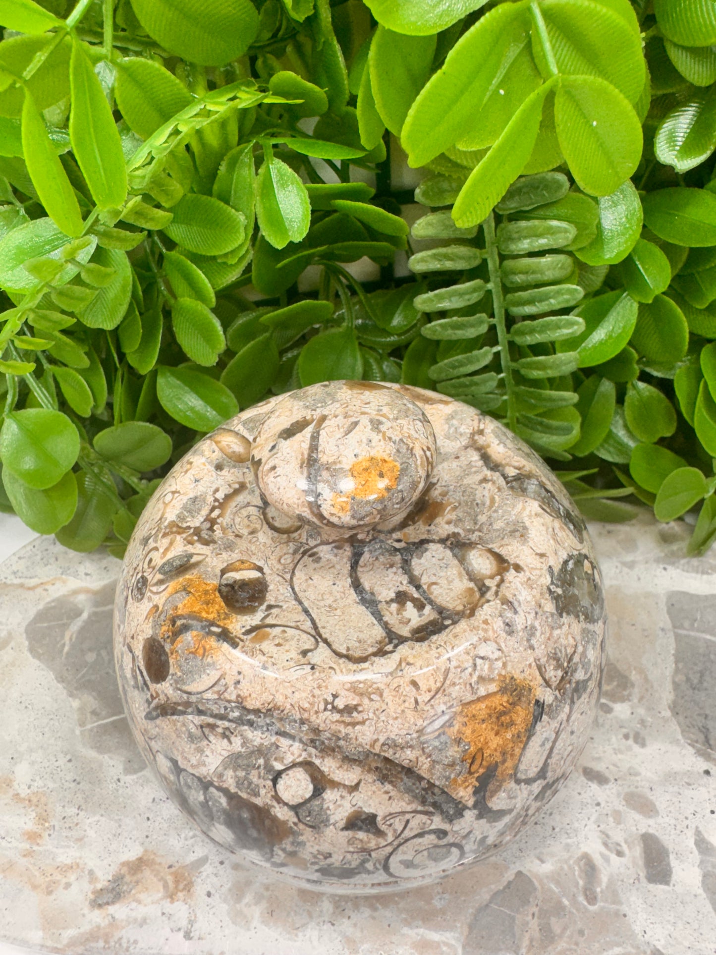Shell Jasper Apple Bowl with Lid 556g