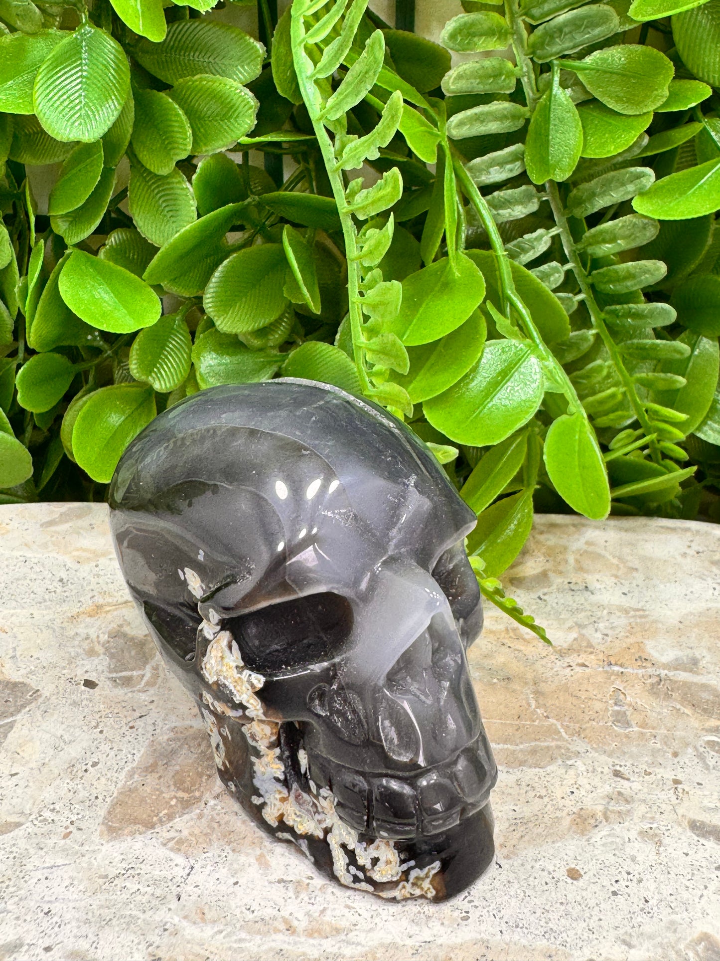 Agate Druzy Skull 280g