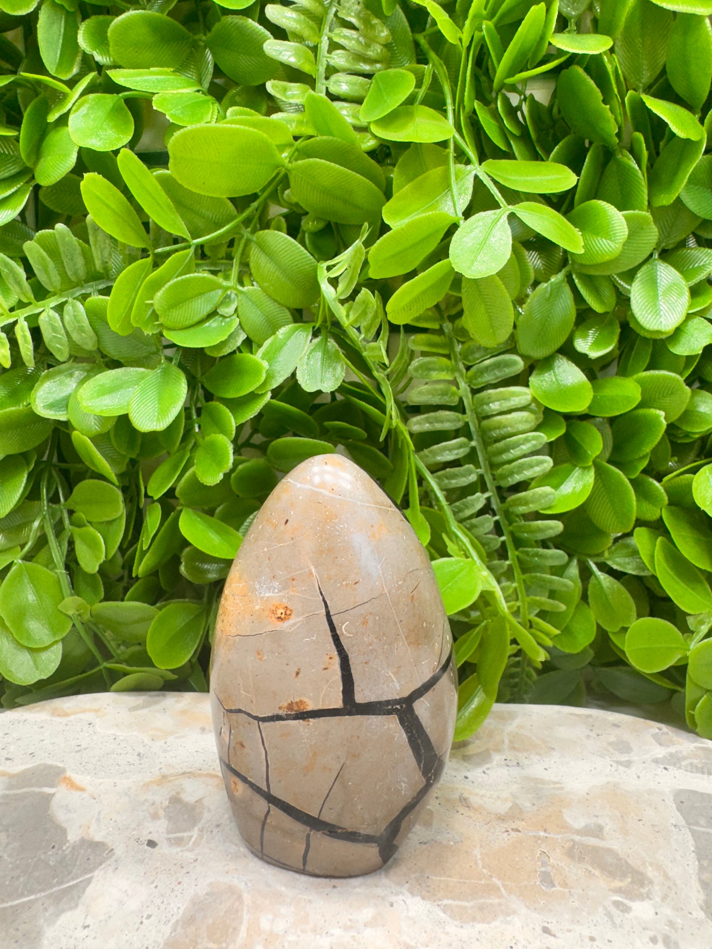 Septarian Freeform 316g