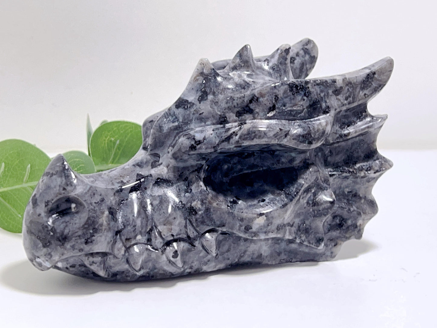 Larvikite Dragon Head 829g