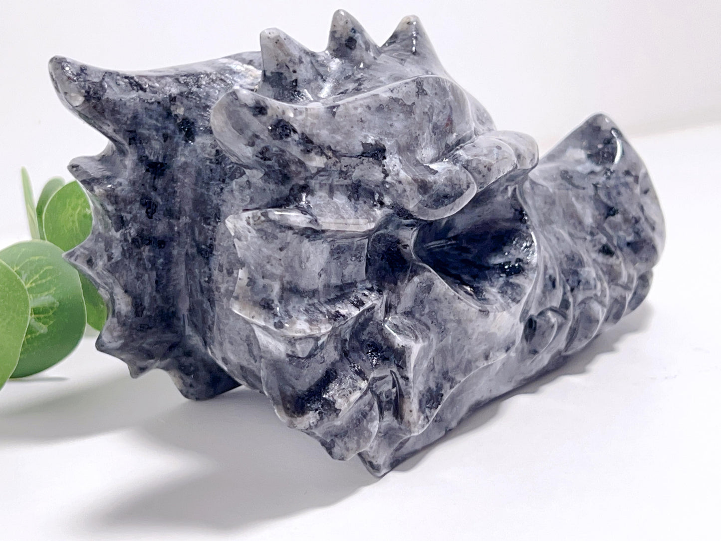 Larvikite Dragon Head 829g