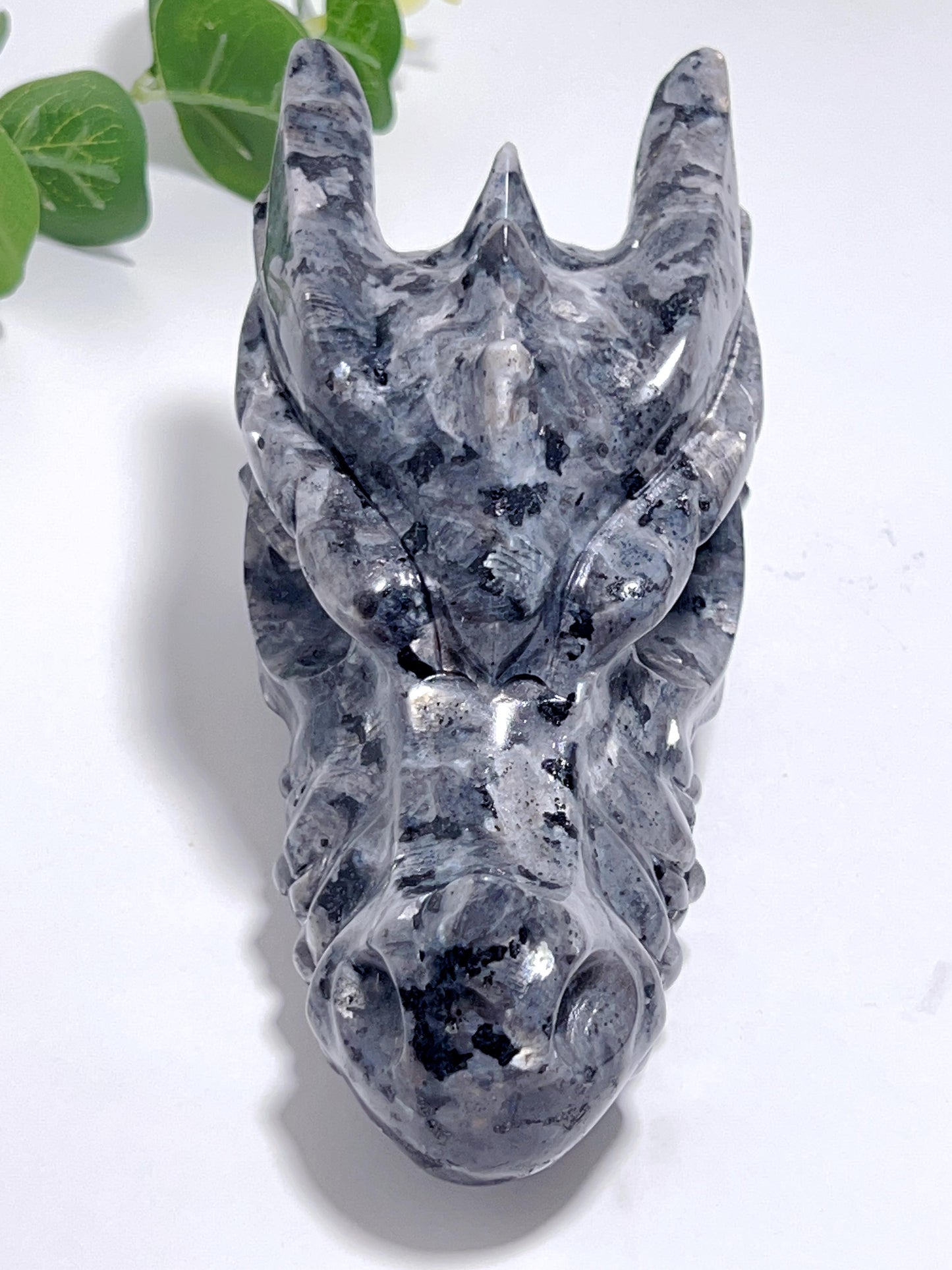Larvikite Dragon Head 829g