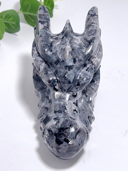 Larvikite Dragon Head 829g