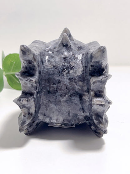 Larvikite Dragon Head 829g