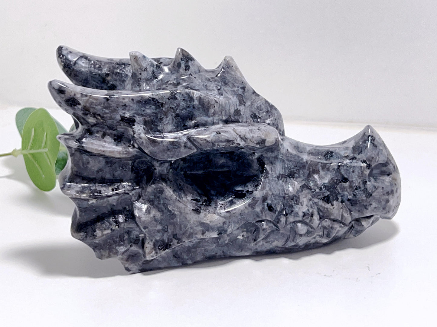 Larvikite Dragon Head 829g