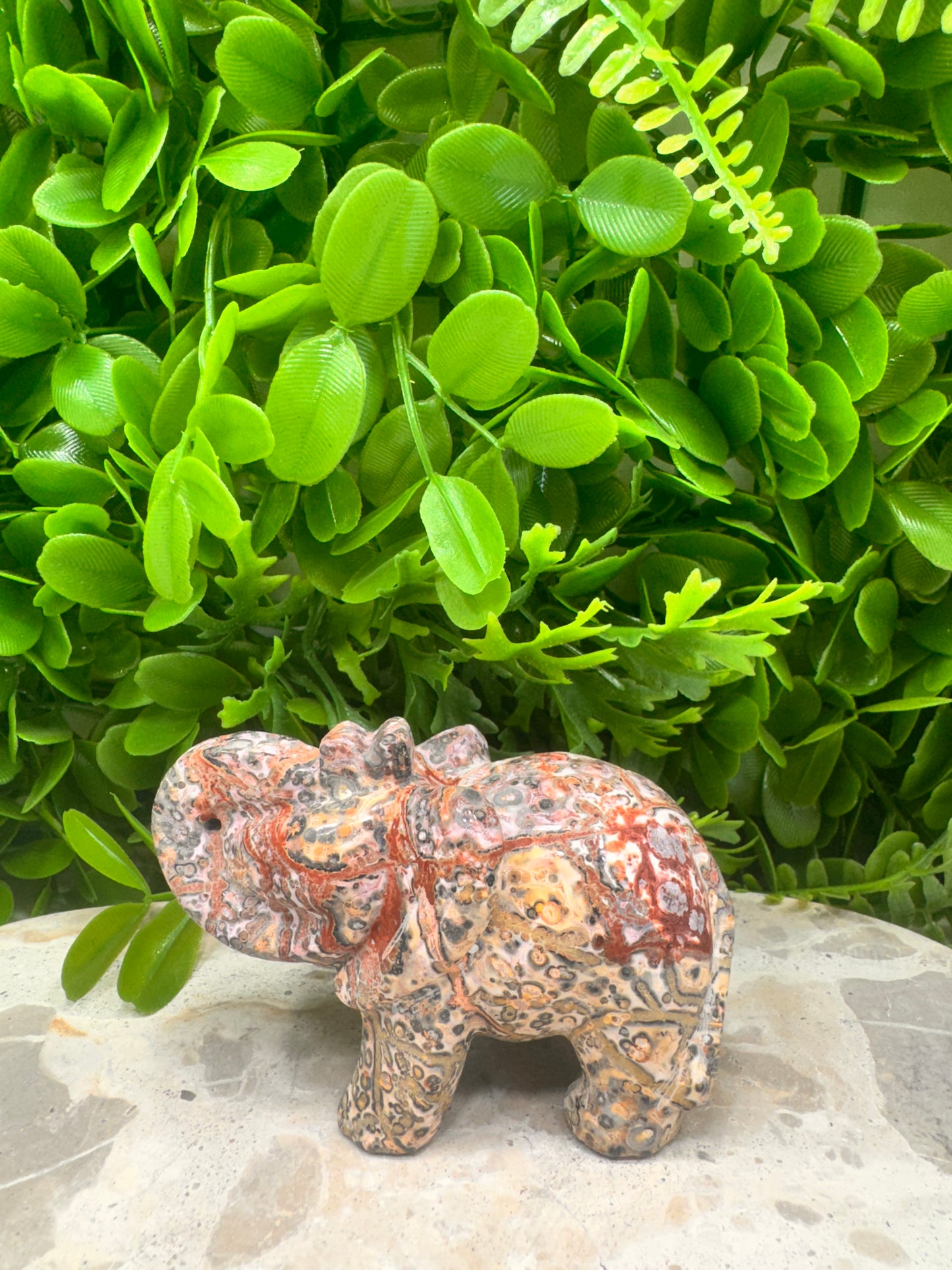 Red Leopard Skin Jasper Elephant 326g
