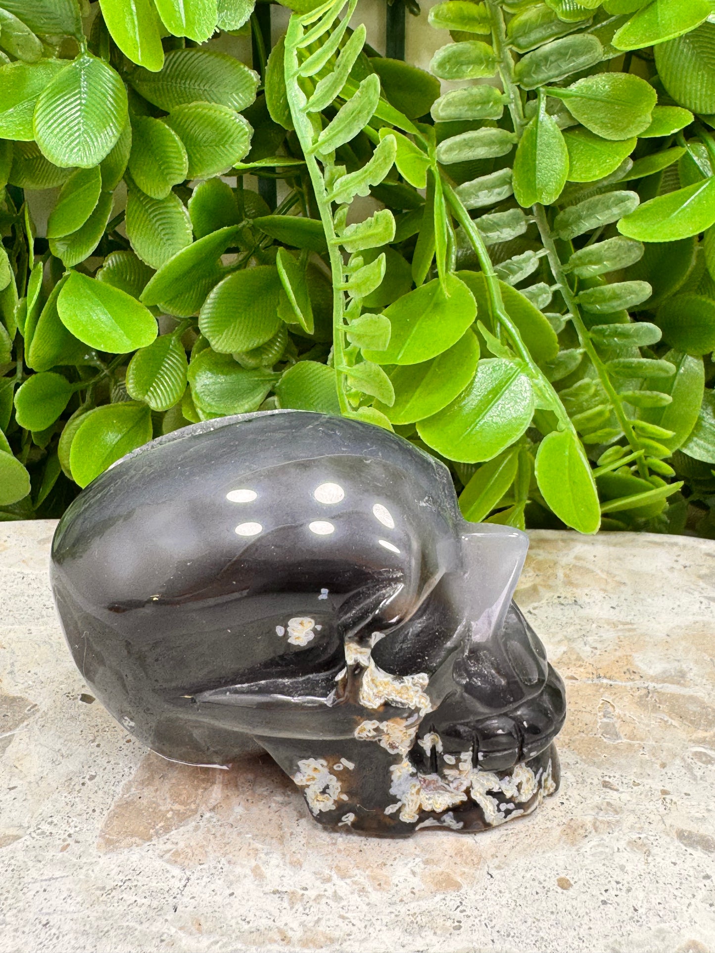 Agate Druzy Skull 280g