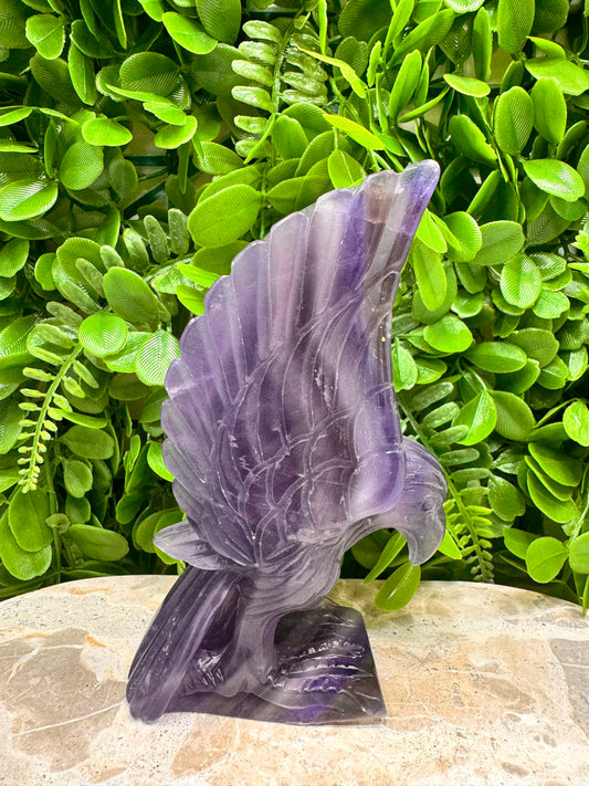Fluorite Eagle 728g