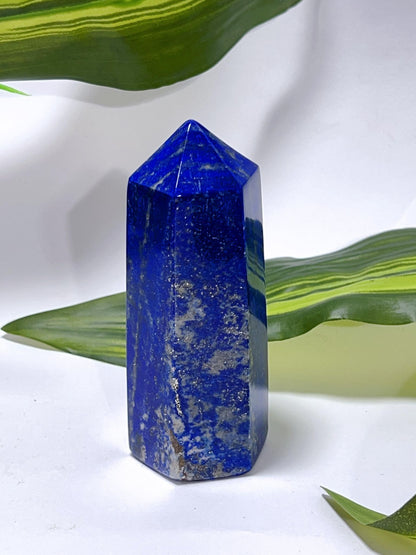Lapis Lazuli Pt 262G