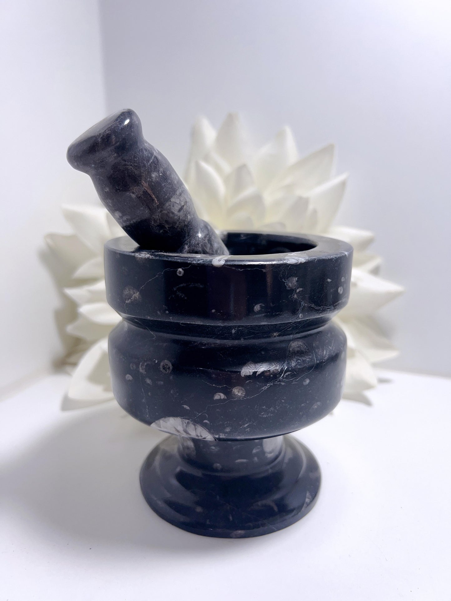 Orthoceras Mortar and Pestle