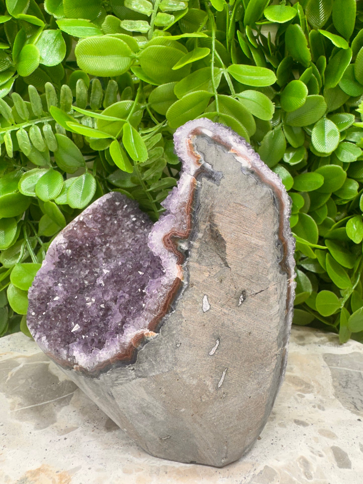 Amethyst Freeform Cluster 1.2kg