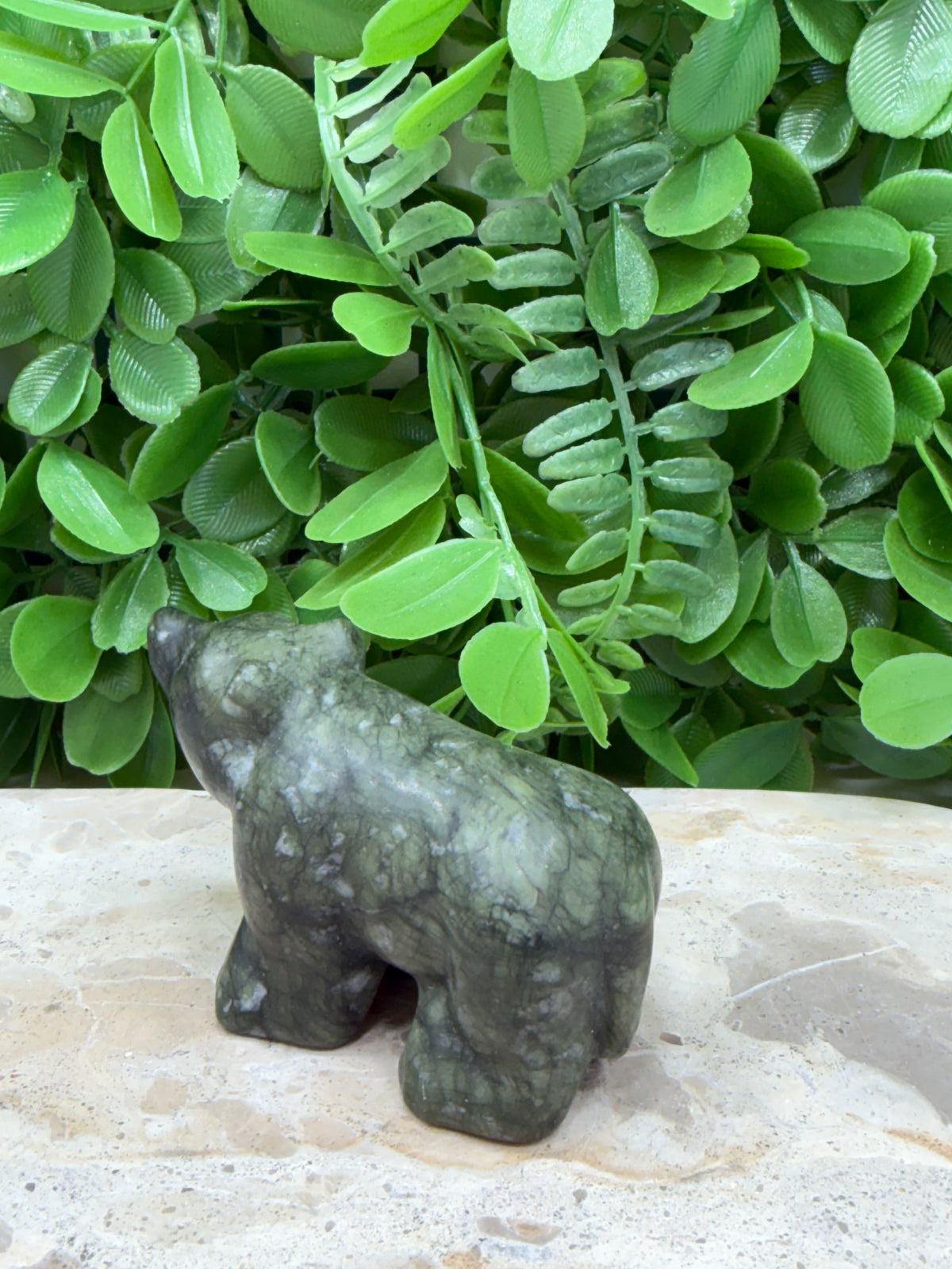 Serpentine Bear 168g | Healing • Transformation • Awakening
