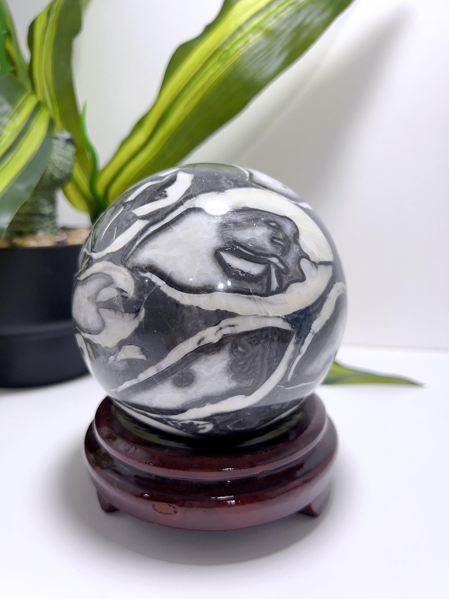 Thousand Eye Jasper Sphere 1916G