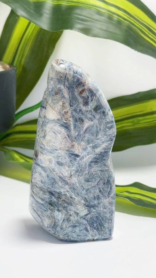 Kyanite Freeform 556g