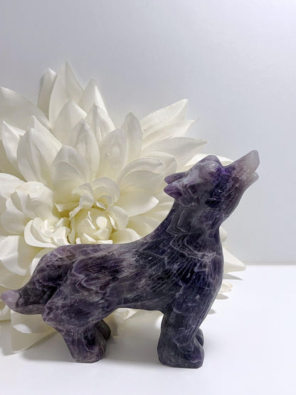 Chevron Amethyst Wolf 821g