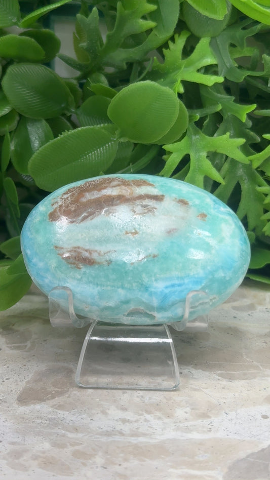 Aragonite Palm Stone 108g