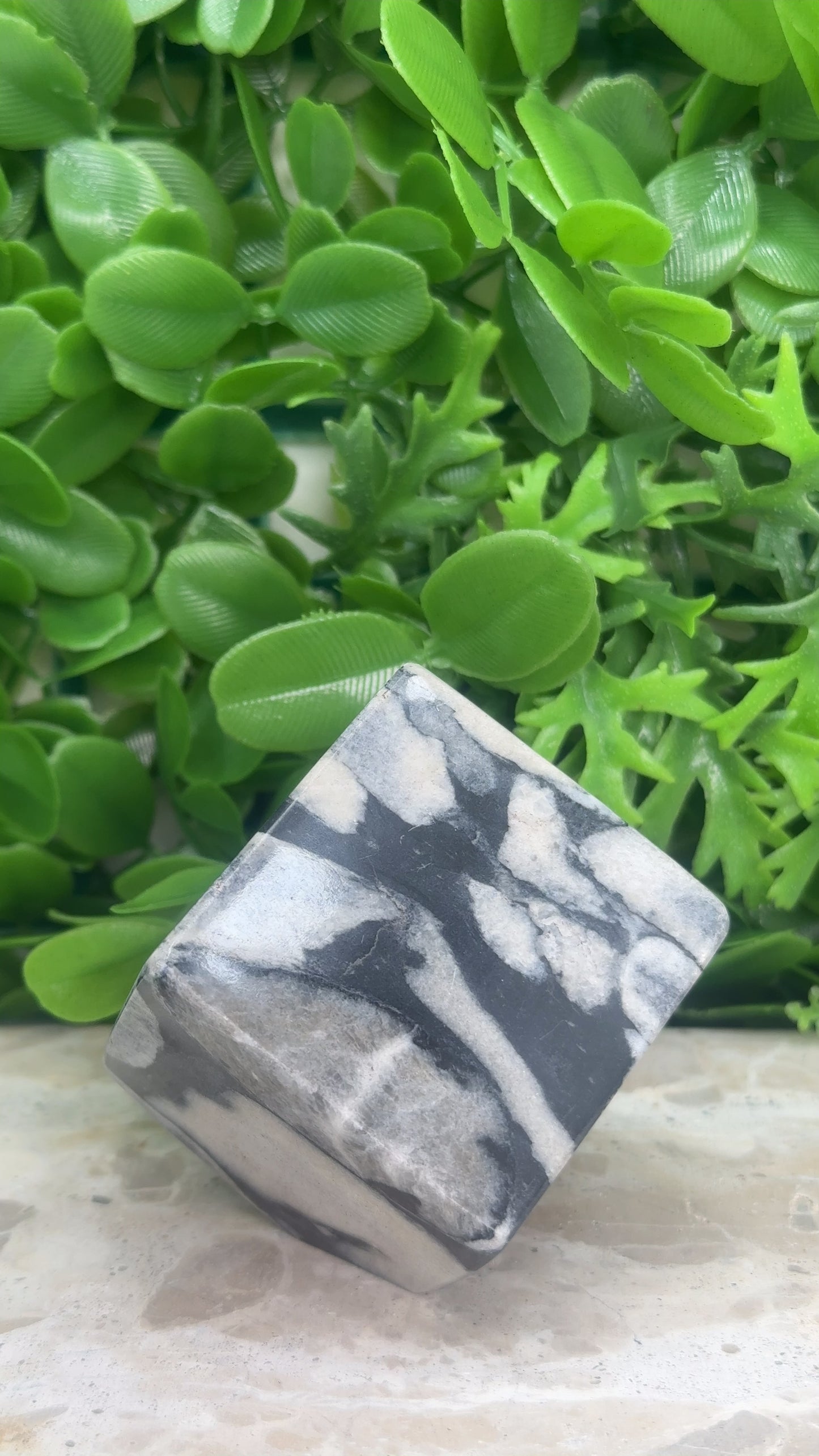 Shell Jasper Cube 330g