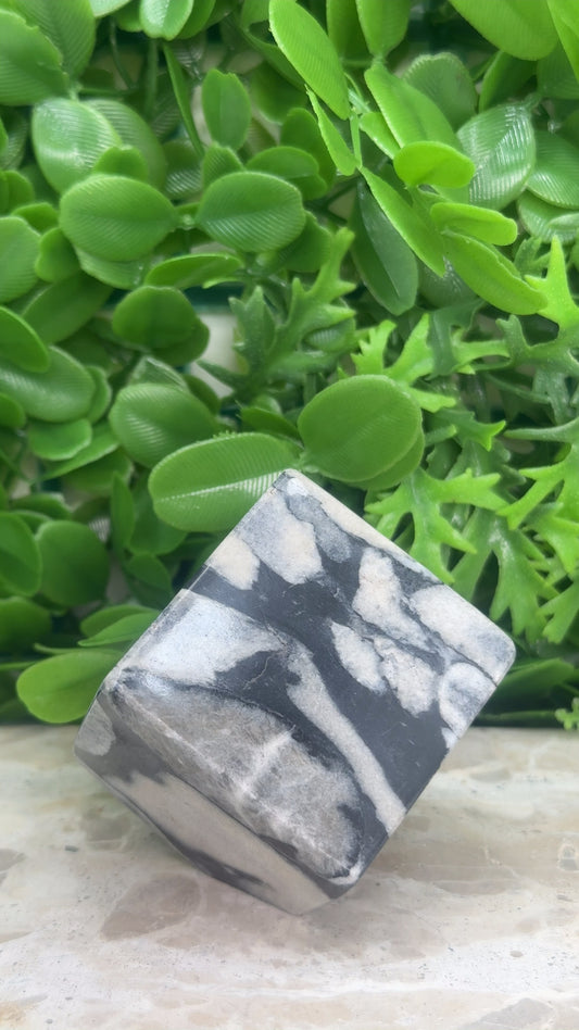 Shell Jasper Cube 330g