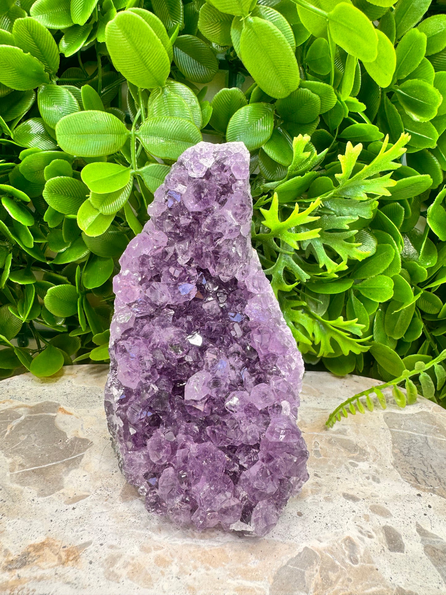 Amethyst Cluster 832g