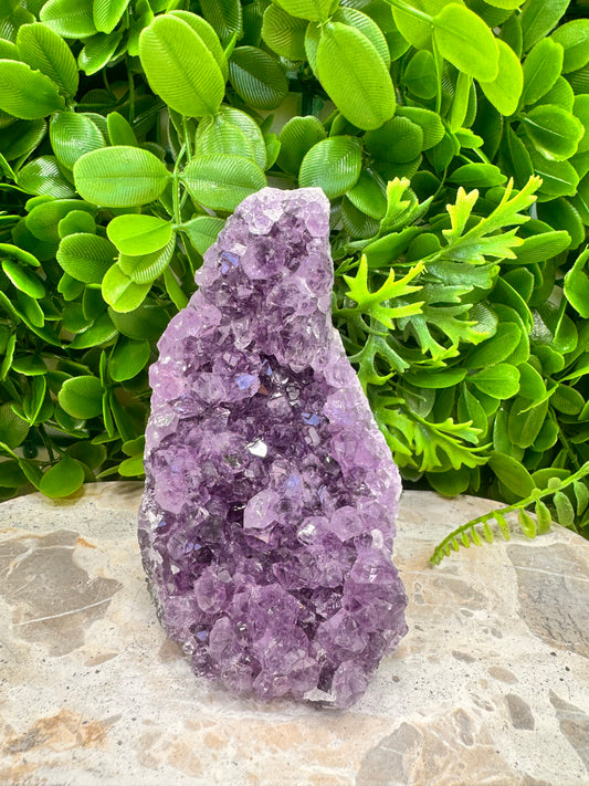 Amethyst Cluster 832g