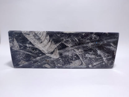 Orthoceras Fossil 3 Tealight Holder