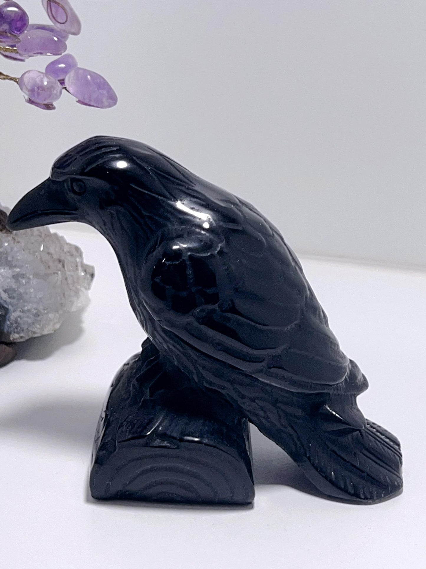 Black Obsidian Raven 591G