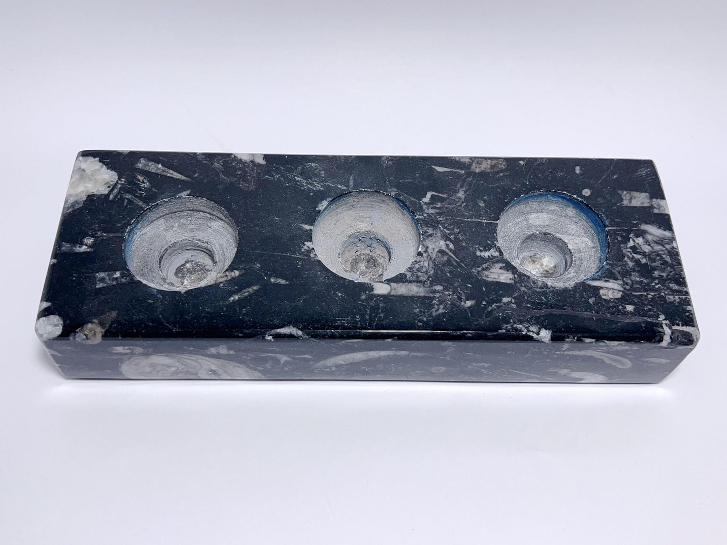 Orthoceras Fossil 3 Tealight Holder