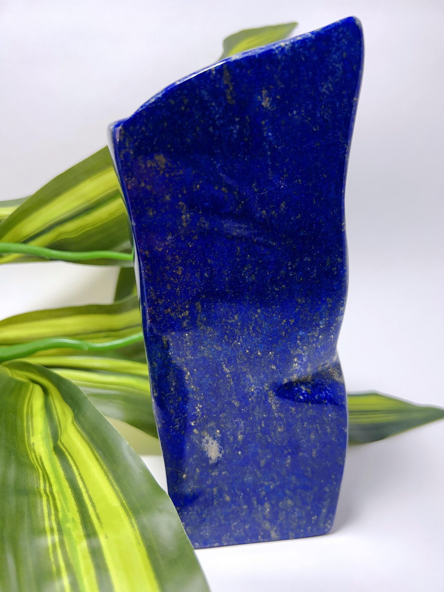 Lapis Lazuli Freeform - 1625g