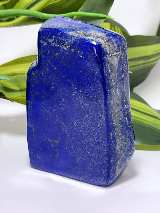Lapis Lazuli Freeform- 485g
